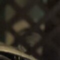 Profile picture of Qaadir