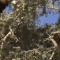 Profile picture of Randomname