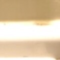 Profile picture of Your1andonly