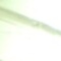 Profile picture of Rotheory