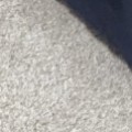 Profile picture of gturnipseed7