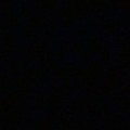Profile picture of BlkPanther98