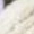 Profile picture of adasilva7