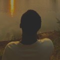 Profile picture of golden