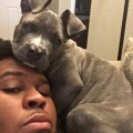 Profile picture of ShyPitbull