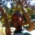 Profile picture of David324